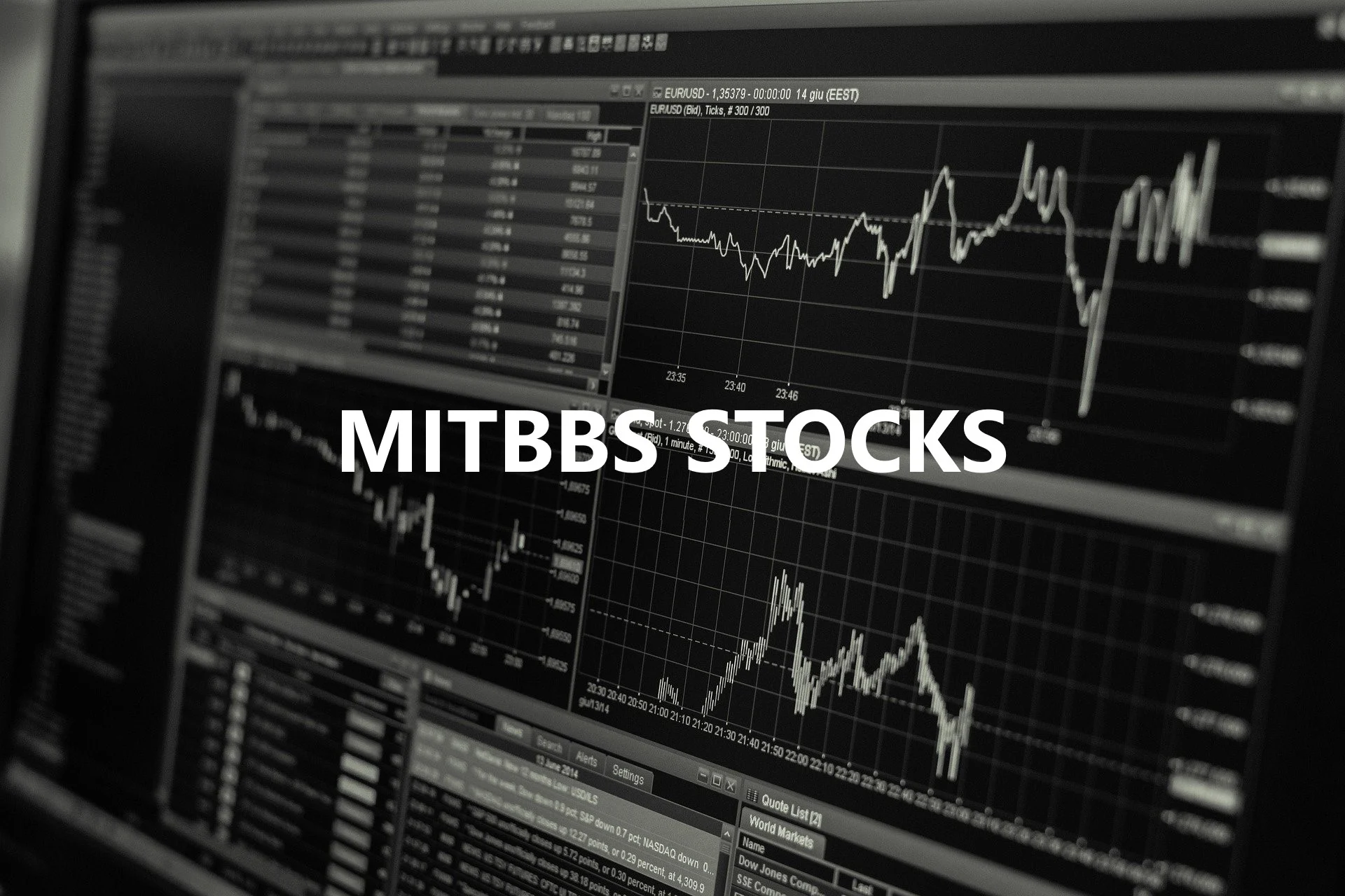 mitbbs stocks