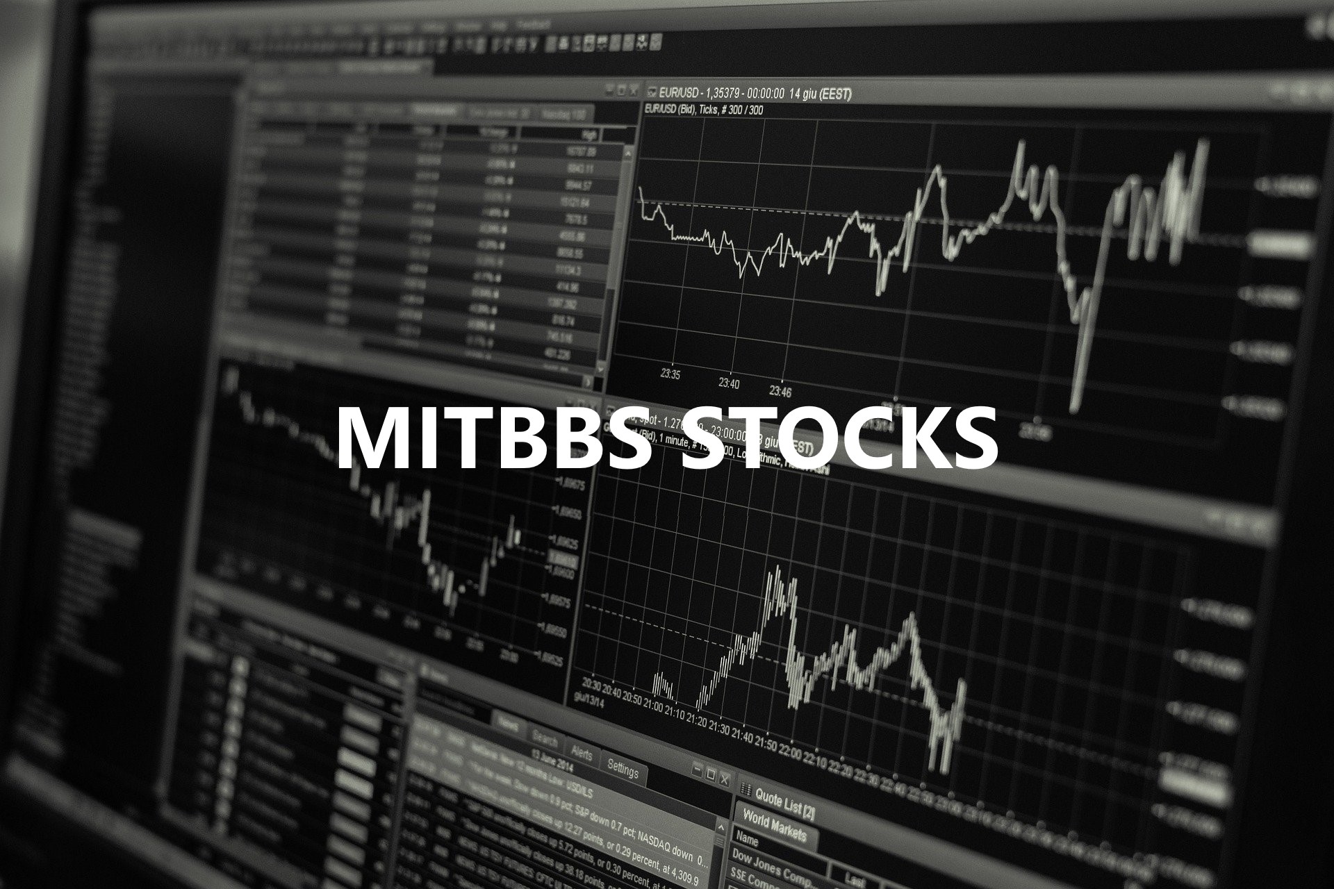 mitbbs stocks