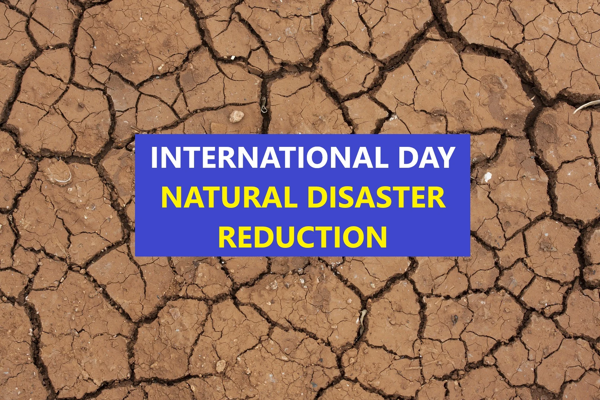 international day for disaster reduction 2022